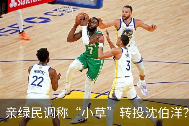 亲绿民调称“小草”转投沈伯洋？黄国昌:曹兴诚出资的没必要分析