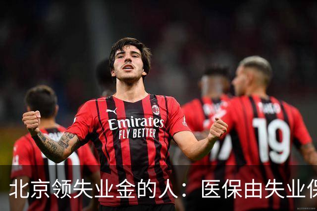 北京领失业金的人：医保由失业保险基金代缴，停了要赶紧自己续