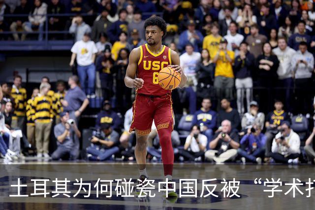 土耳其为何碰瓷中国反被“学术打脸”？