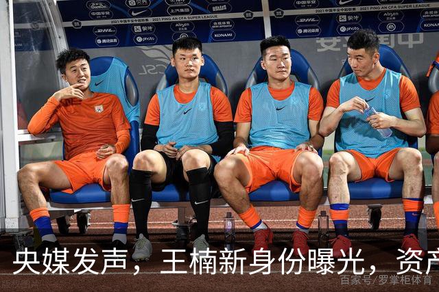 央媒发声，王楠新身份曝光，资产查封被带走调查传闻背后另有隐情