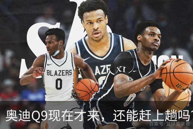 奥迪Q9现在才来，还能赶上趟吗？