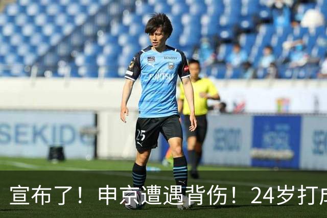宣布了！申京遭遇背伤！24岁打成火箭新老大
