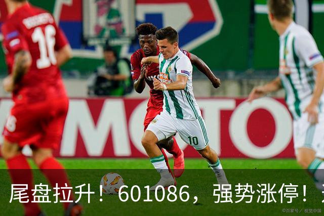 尾盘拉升！601086，强势涨停！这一板块逆市爆发