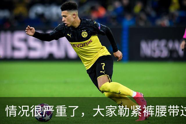 情况很严重了，大家勒紧裤腰带过苦日子吧！