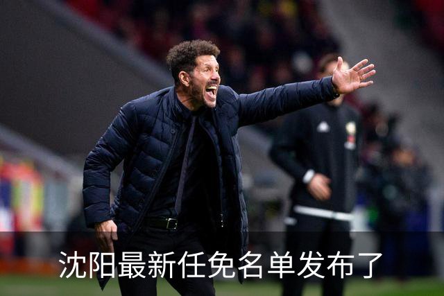 沈阳最新任免名单发布了