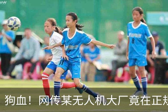狗血！网传某无人机大厂竟在正规黑客赛事期间举报现场抓人？